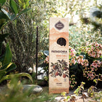 Incenso Naturale Patagonia Arancia & Vaniglia