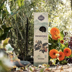 Incenso Patagonia Sagrada Madre