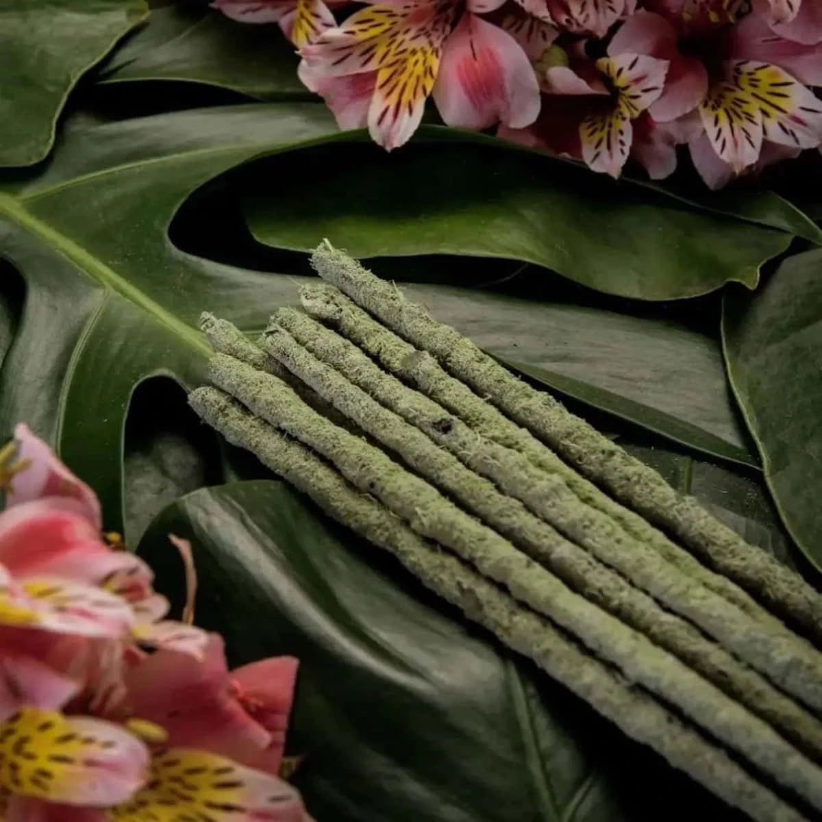 Incenso Naturale Botanico Fiorito "Te Verde e Fiori di Champa" - Amami Arredo Olfattivo