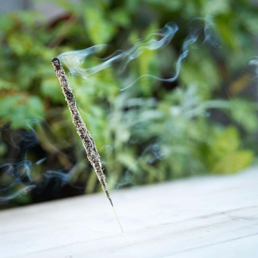 Incenso Naturale Botanico Salvia Bianca - Amami Arredo Olfattivo