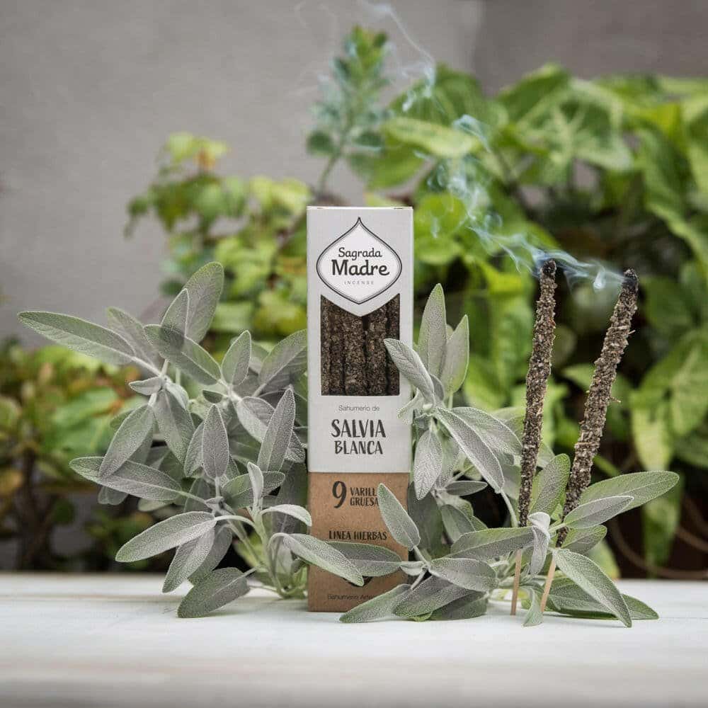Incenso Naturale Botanico Salvia Bianca - Amami Arredo Olfattivo