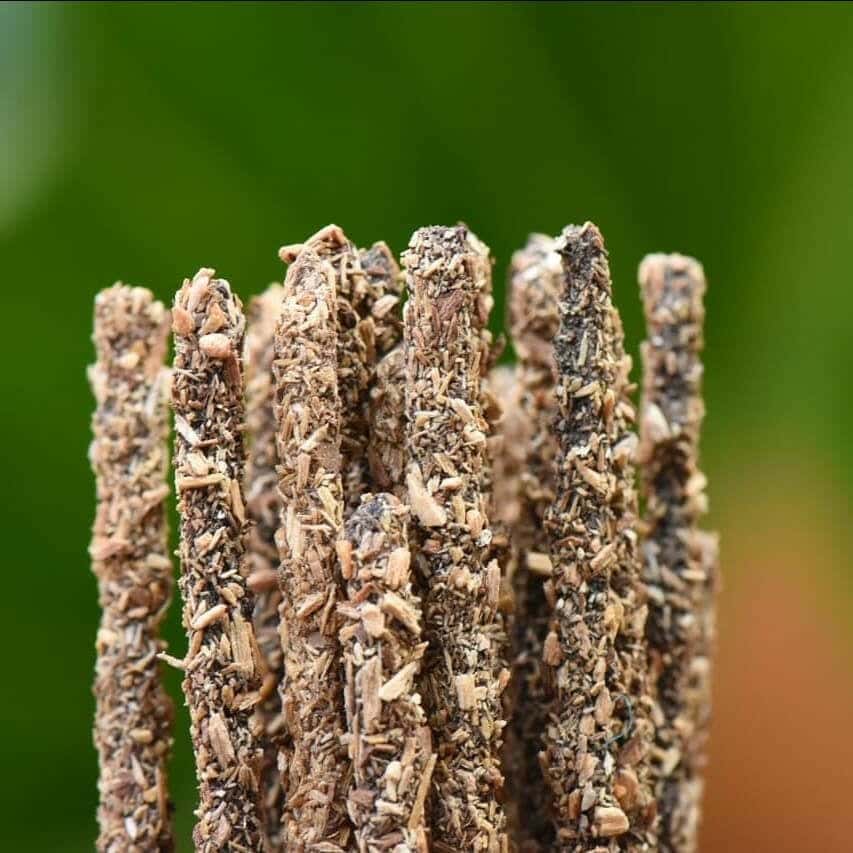 Incenso Naturale Palo Santo - Amami Arredo Olfattivo