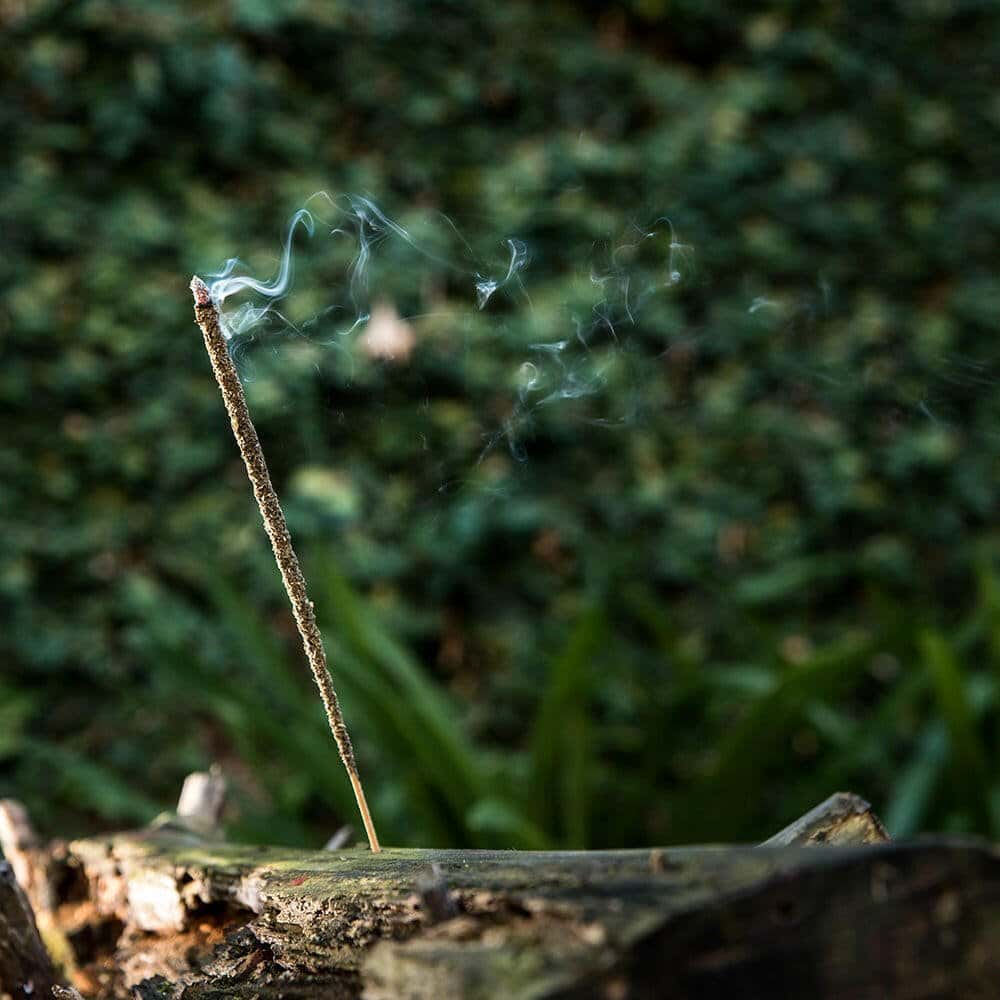 Incenso Naturale Ruta e Rosmarino - Amami Arredo Olfattivo