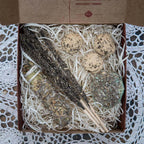 Kit Herbal Salvia Bianca - Amami Arredo Olfattivo