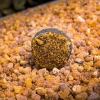 Pastillas Incenso Naturale - Amami Arredo Olfattivo