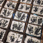 Sogno nel Cassetto - Amami Arredo Olfattivo